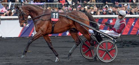 fjärde franska hästen klar för elitloppet