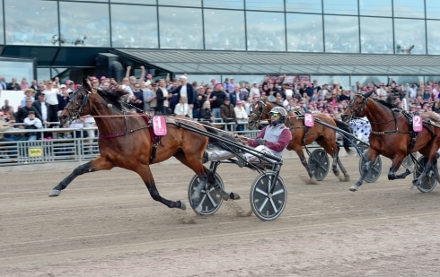 franskt firande i elitloppet – hohneck omöjlig att fånga
