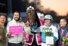 Hail Mary till Elitloppet hail mary till elitloppet