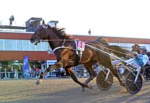 Hett intresse för elitloppsbiljetten hett intresse för elitloppsbiljetten