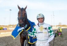 Inför V75: Från Ålborg till Gävle i hopp om elitloppsplats inför v75® från ålborg till gävle i hopp om elitloppsplats