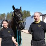Inför V75 (dubbeljackpot): Bästa hästen kommer från norr? inför v75® (dubbeljackpot) bästa hästen kommer från norr?