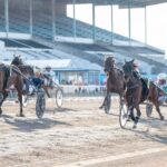 Inför V75 (söndag): ”Jag tror på henne igen” inför v75® (söndag) jag tror på henne igen