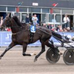 Inför V75 (söndag): ”Önas Prince kan inte kännas bättre” inför v75® (söndag) ”önas prince kan inte kännas bättre”