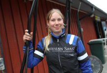 Inför V86: ”Vi har hittat vår drömhäst” inför v86® ”vi har hittat vår drömhäst”