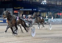 Inför V86 (jackpot): Formstarkt skrällbud inför v86® (jackpot) formstarkt skrällbud