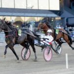 Inför V86 (jackpot): Hagoort med en het trio inför v86® (jackpot) hagoort med en het trio