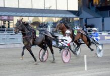 Inför V86 (jackpot): Hagoort med en het trio inför v86® (jackpot) hagoort med en het trio