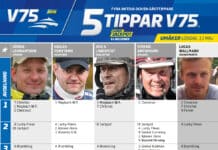 Fem tippar V75 till UMÅKER 13 maj 2023 fem tippar v75 v19 umaker 13 maj 2023