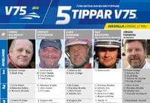Fem tippar V75 lördag 27 maj Elitloppshelgen 2023 fem tippar v75 v21 lördag elitloppshelgen 2023