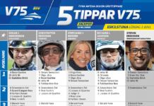 Fem tippar V75 till ESKILSTUNA 3 juni 2023 fem tippar v75 v22 eskilstuna 3 juni 2023