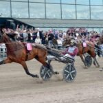 Elitloppsvinnaren går ut på hemmaplan elitloppsvinnaren går ut på hemmaplan