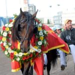 Inför V75 (jackpot): Francesco Zet förgyller Norrbottens Stora Pris – ”Känns otroligt fin” inför v75 jackpot francesco zet förgyller norrbottens stora pris – känns otroligt fin