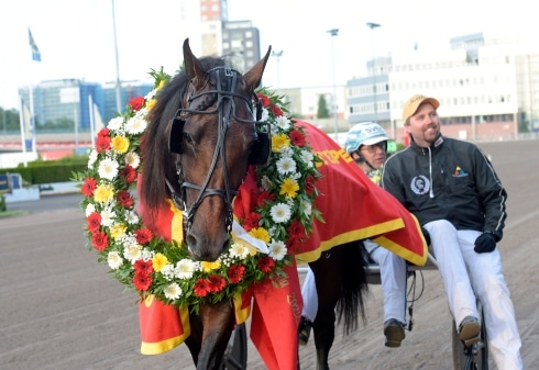 inför v75 jackpot francesco zet förgyller norrbottens stora pris – känns otroligt fin