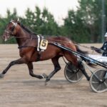 Inför V86: Åke håller Power Doc högt inför v86® åke håller power doc högt