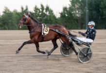 Inför V86: Åke håller Power Doc högt inför v86® åke håller power doc högt