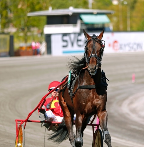 inför v86® (jackpot) slår till efter positiva comebacken