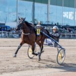 Kullens dominant redo för årsdebut kullens dominant redo för årsdebut