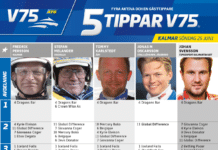 Fem tippar V75 till KALMAR 25 juni 2023 fem tippar v75 kalmar 25 juni 2023