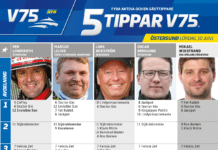 Fem tippar V75 till Östersund 10 juni 2023 fem tippar v75 v23 ostersund 10 juni 2023