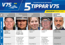 Fem tippar V75 till Bergsåker 1 juli 2023 fem tippar v75 v26 bergsaker 1 juli 2023