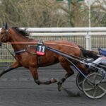 Elitloppstvåan klar för Hugo Åbergs elitloppstvåan klar för hugo åbergs
