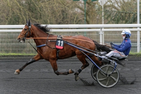 elitloppstvåan klar för hugo åbergs