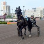 Inför V86: Stora känslor inför gubbens lopp inför v86 stora känslor inför gubbens lopp