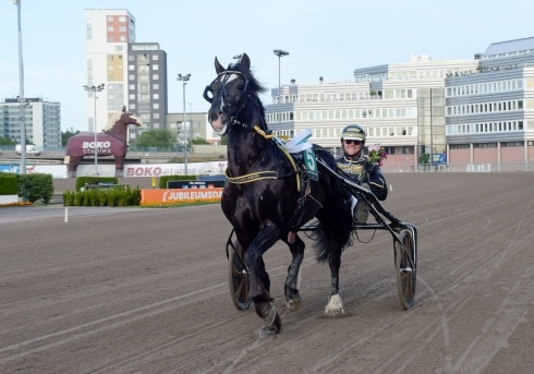 inför v86 stora känslor inför gubbens lopp