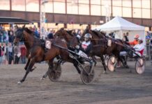 Inför V86 (jackpot): Dubai Kronos är Jerrys ”derby contender” inför v86® (jackpot) dubai kronos är jerrys ”derby contender”