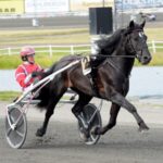 Inför V86 (jackpot): Kallblodskungen tillbaka igen inför v86® (jackpot) kallblodskungen tillbaka igen