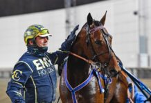 Inför V86 (jackpot): Lugauer utlovar rejäl laddning med Tetrick Wania – ”Har bästa hästen” inför v86® (jackpot) lugauer utlovar rejäl laddning med tetrick wania – har bästa hästen