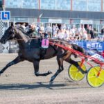 Två nya hästar till Åbergs två nya hästar till åbergs