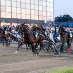 Hustle Rain sken starkast i Sprintermästaren v75® hustle rain sken starkast i sprintermästaren