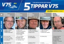 Fem tippar V75 till ÅRJÄNG 15 juli 2023 fem tippar v75 v28 hr