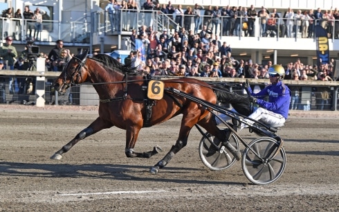 inför v75® (drömjackpot) ”san moteur känns fantastiskt fin – är bättre förberedd nu”