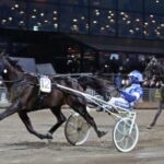 Inför V75 (Jackpot): Norske stjärnhästen i pole position – ”Bra chans” inför v75® norske stjärnhästen i pole position – ”bra chans”