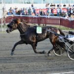 Inför V75 (jackpot): ”Fick se hur bra han är” inför v75® (jackpot) ”fick se hur bra han är”