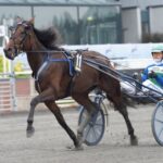 Inför V75 (jackpot): Hoppas Pappajonnys Ilse avslutar på topp inför v75® (jackpot) hoppas pappajonnys ilse avslutar på topp