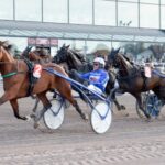 Inför V75 (lördag): ”Hon är drottningen i stallet – bra vinstchans” inför v75® (lördag) ”hon är drottningen i stallet – bra vinstchans”