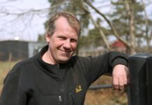 Inför V86: Hoffman laddad inför gotländsk travfest inför v86® hoffman laddad inför gotländsk travfest