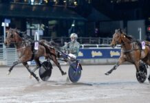 Inför V86 Mantorp (jackpot): ”Då får dom springa jäkligt fort” inför v86® mantorp (jackpot) ”då får dom springa jäkligt fort”