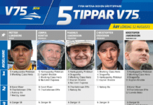 Fem tippar V75 till ÅBY 12 augusti 2023 fem tippar v75 v32 hr ny