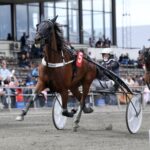 Inför V75 (lördag): Dubbla chanser för Persson dubbla chanser för persson