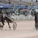 Inför GS75 (jackpot): ”Jag har aldrig haft en klokare häst” inför gs75® (jackpot) ”jag har aldrig haft en klokare häst”