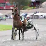 Inför V75: Jakobsson hoppas nöjet blir helt på hans sida inför v75® jakobsson hoppas nöjet blir helt på hans sida