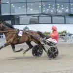 Inför V75: ”Räknar med att han slåss om segern” inför v75® ”räknar med att han slåss om segern”