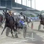 Inför V75: Spännande debut i ny regi inför v75® spännande debut i ny regi
