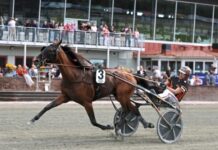 Inför V86: En häst med ovanligt bra styrka inför v86 en häst med ovanligt bra styrka