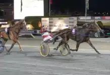 Inför V86 (dubbeljackpot): Startsnabb krydda i jackpotjakten inför v86® (dubbeljackpot) startsnabb krydda i jackpotjakten